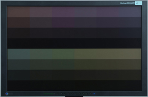 FlexScan SX2462Wでカラーパターンを表示した例