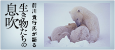生き物たちの息吹