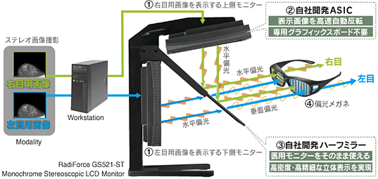 ハーフミラー方式立体視モニターの仕組み