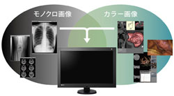 カラー画像とモノクロ画像の混在環境での適正な表示を実現