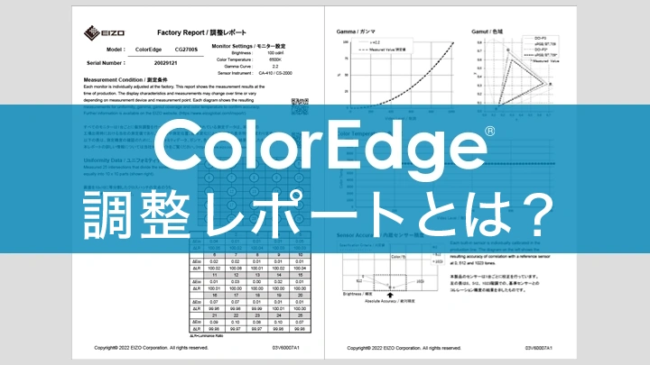 coloredge_factory_report_thumb.jpg