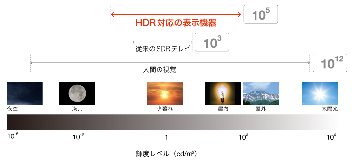 ⑤「輝度」 ＝ 映像の明るさ