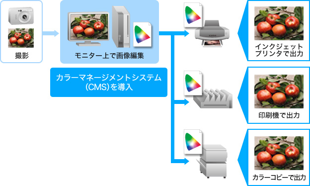 カラーマネージメントシステム（CMS）を導入