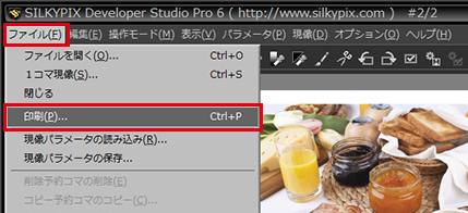 SILKYPIX DEVELOPER STUDIO 6