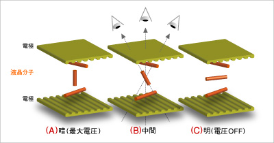 TN方式の液晶分子配列の模式図