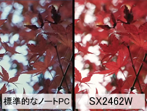標準的なノートPCとSX2462WでAdobe RGB色域の画像データを表示した例