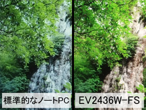 標準的なノートPCとFlexScan EV2436W-FSでsRGB色域の画像データを表示した例