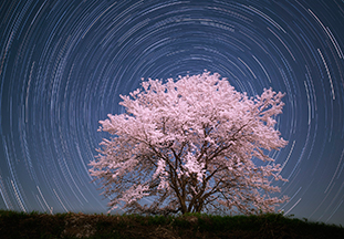 木村芳文氏作品