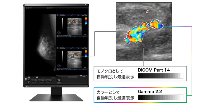 モノクロとカラーをハイブリッド表示