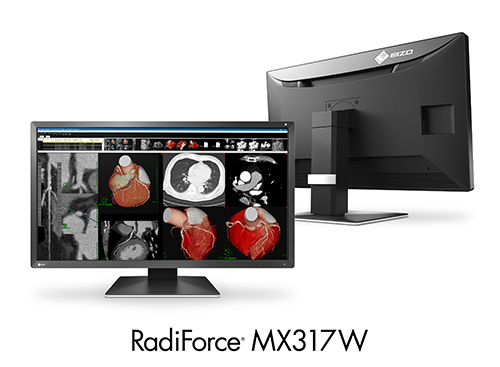 RadiForce MX317W