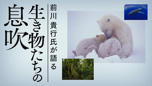 生き物たちの息吹