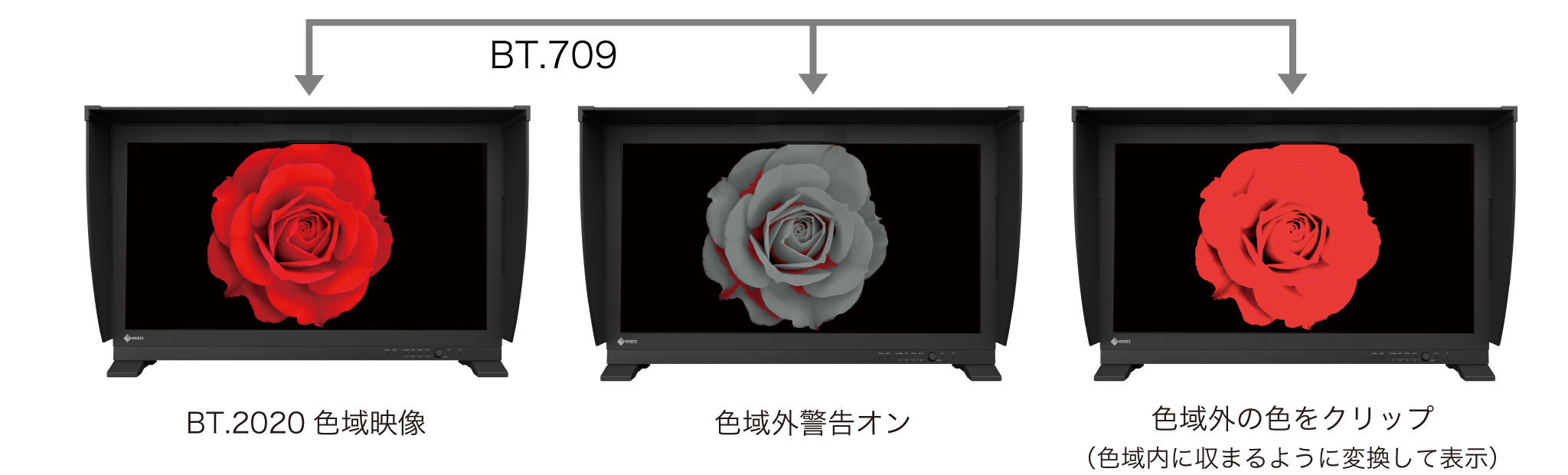 BT.709色域外警告機能