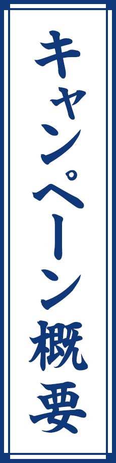 キャンペーン概要