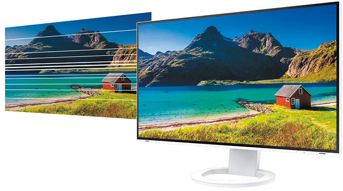 EIZO FlexScan EV2495-WT 24.1型 モニター