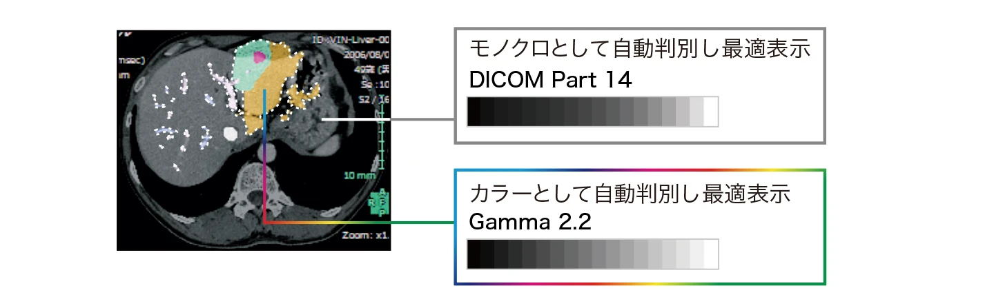 モノクロとカラーをハイブリッド表示