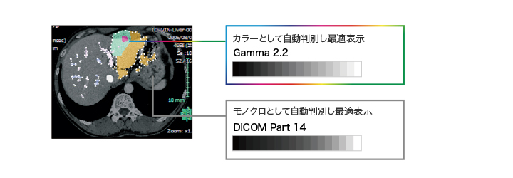 Display_Both_Monochrome_and_Color_jp.jpg