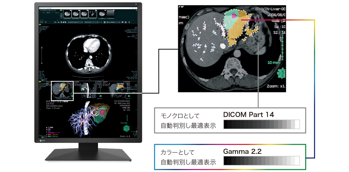 モノクロとカラーをハイブリッド表示