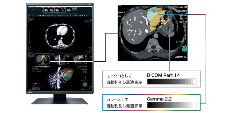 モノクロとカラーをハイブリッド表示