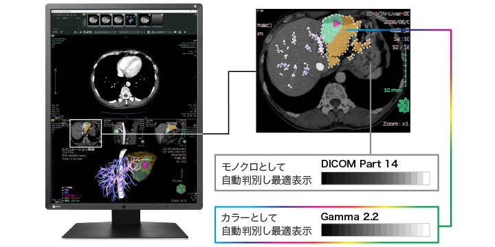 モノクロとカラーをハイブリッド表示