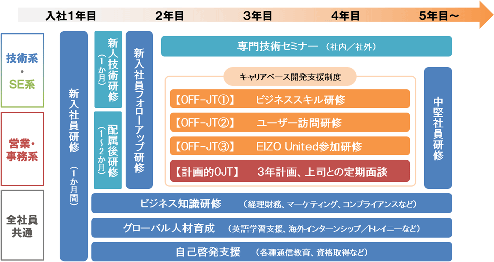 若手教育体系図